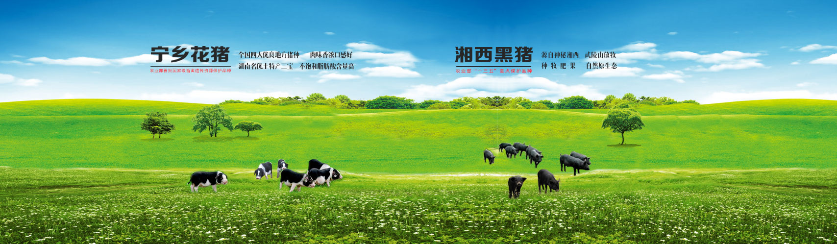 welcome-��������