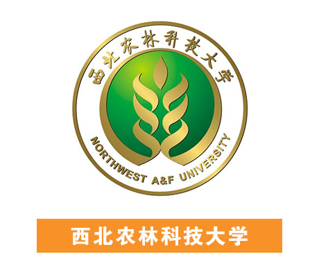 welcome-��������